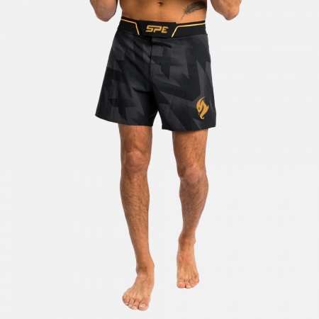 Fight Shorts